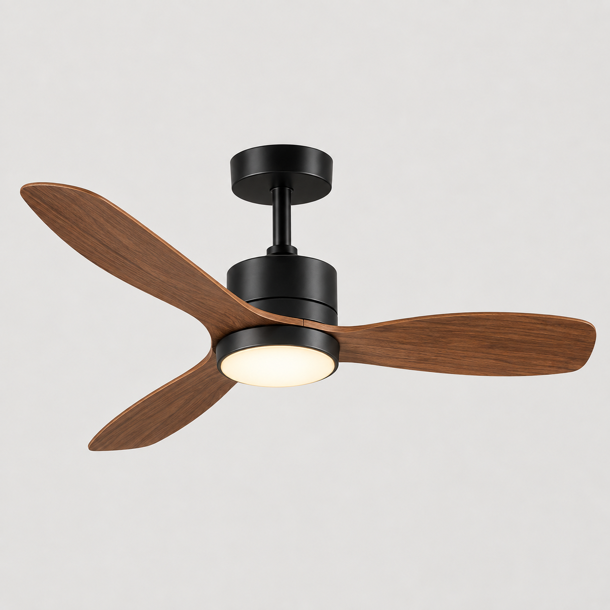 Fan Lights